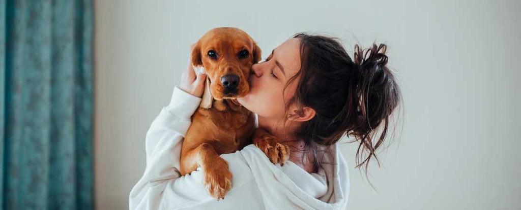 Ways Your Dog Can Positively Impact Your Mental Well-being